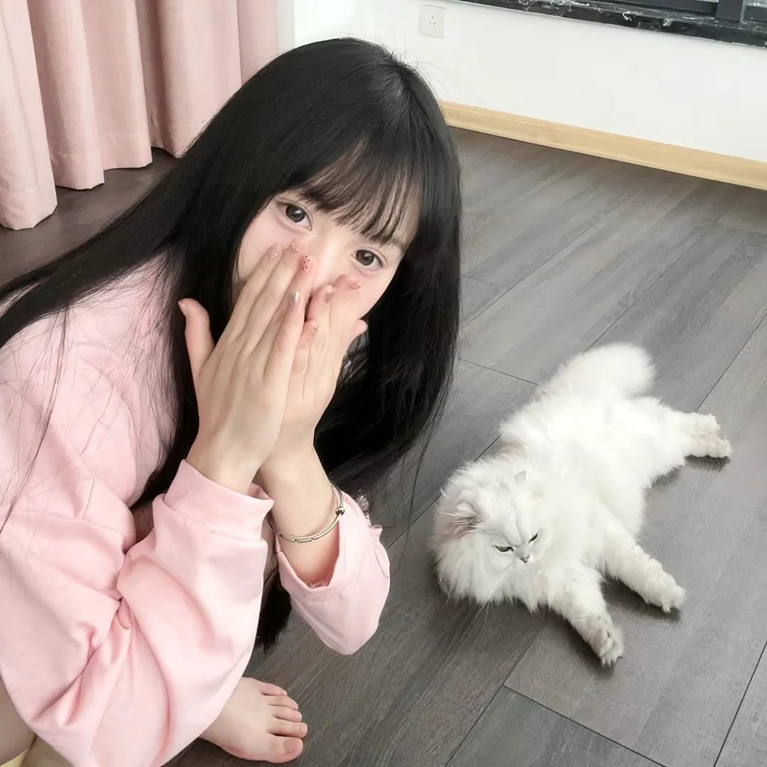 虹猫蓝兔七侠外传 跳跳篇